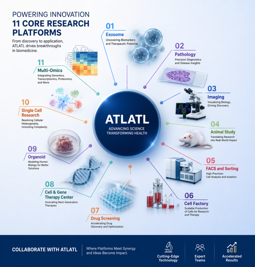 阿特拉特尔 11 个平台