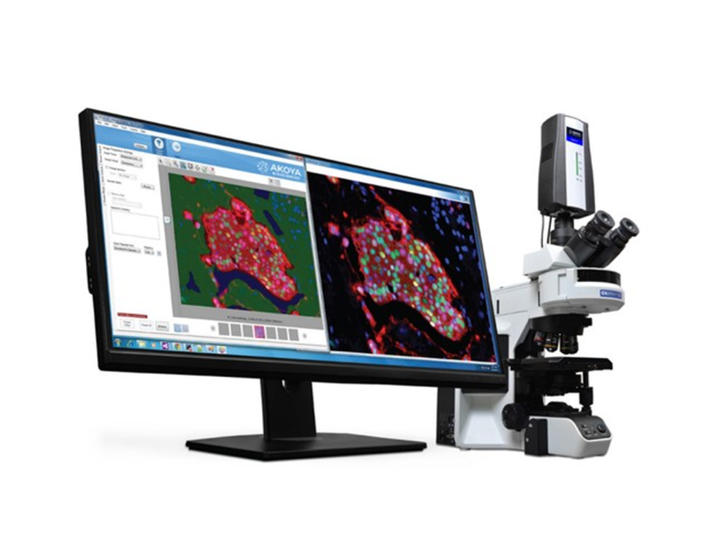 akoyabio mantra 2™ quantitative Pathologie Bildgebung und Analyse