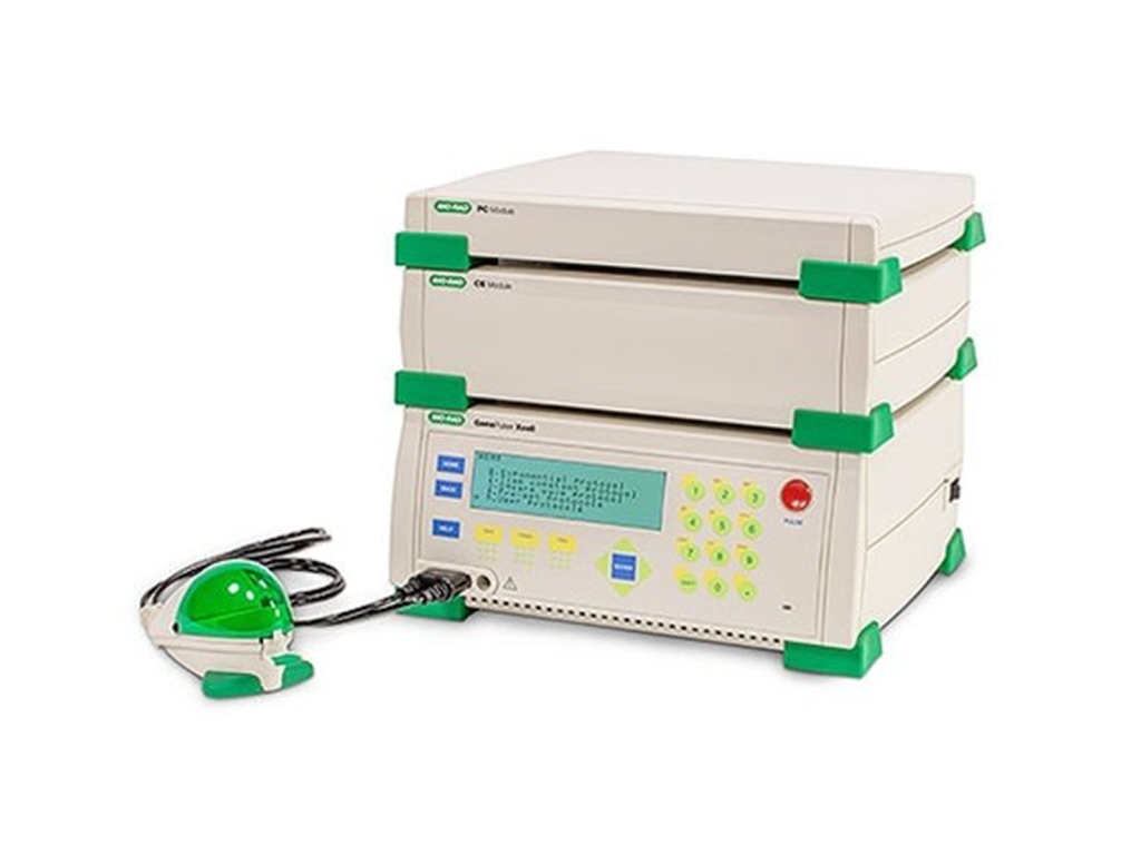 bio rad gene pulser xcell