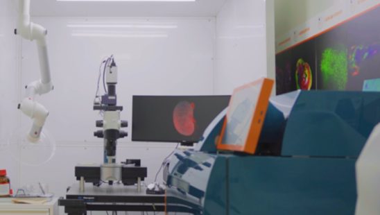 Cell-Biology-Service-001