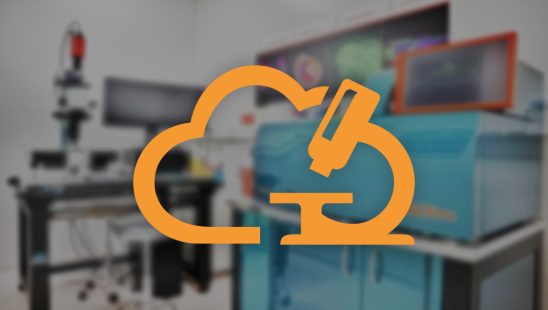 Our services-5